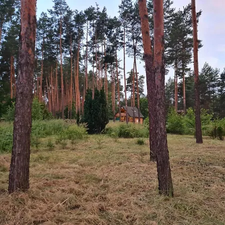 Pod Czarnym Dzieciolem - Dom Z Widokiem I Prywatna Balia Ferienhaus