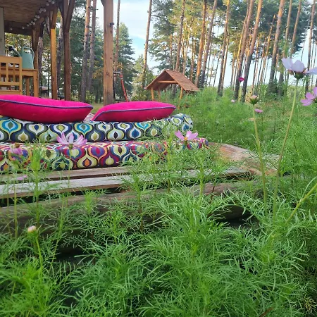 Holiday home Pod Czarnym Dzieciolem - Dom Z Widokiem I Prywatna Balia Mazowki