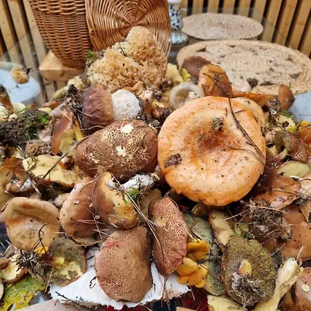 Pod Czarnym Dzieciolem - Dom Z Widokiem I Prywatna Balia Mazowki