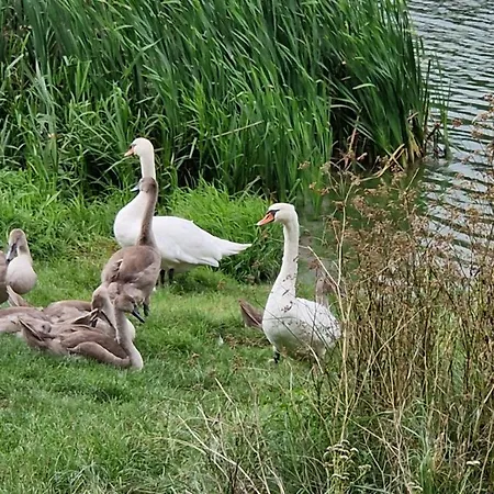 Pod Czarnym Dzieciolem - Dom Z Widokiem I Prywatna Balia * Mazowki