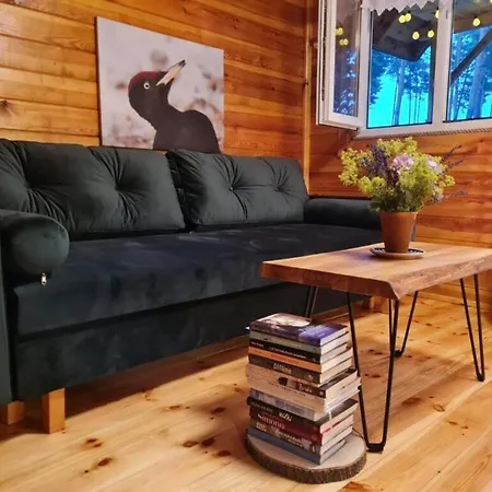 Pod Czarnym Dzieciolem - Dom Z Widokiem I Prywatna Balia Prázdninový dům