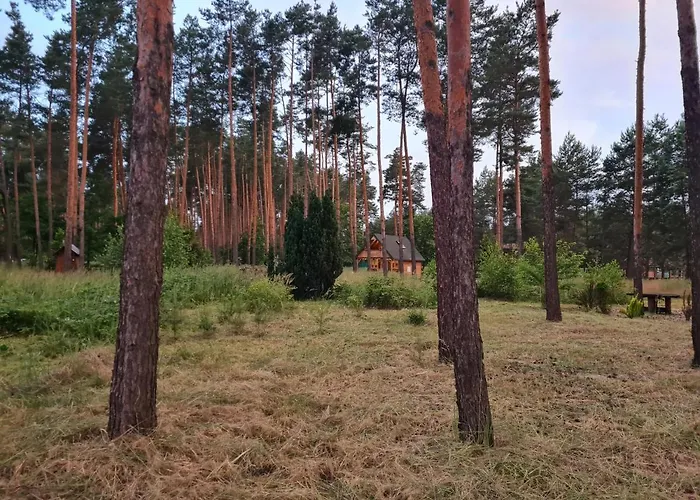 Pod Czarnym Dzieciolem - Dom Z Widokiem I Prywatna Balia Prázdninový dům