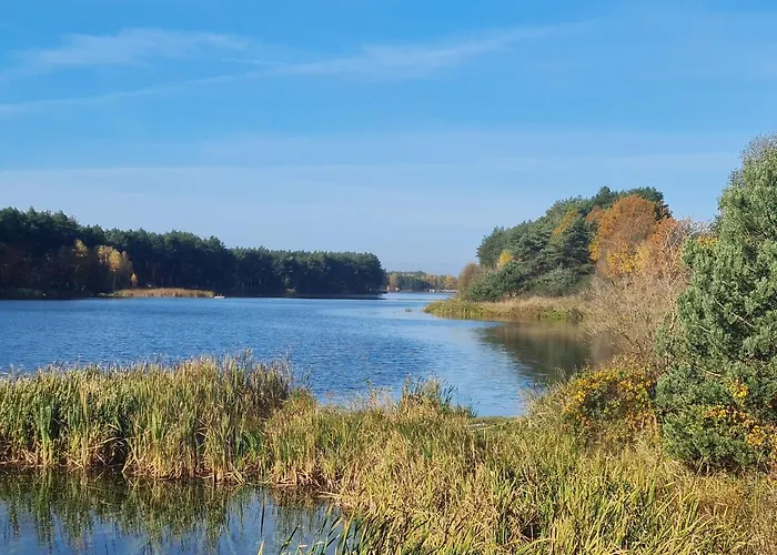 Prázdninový dům Pod Czarnym Dzieciolem - Dom Z Widokiem I Prywatna Balia Mazowki