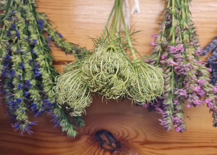 Pod Czarnym Dzieciolem - Dom Z Widokiem I Prywatna Balia