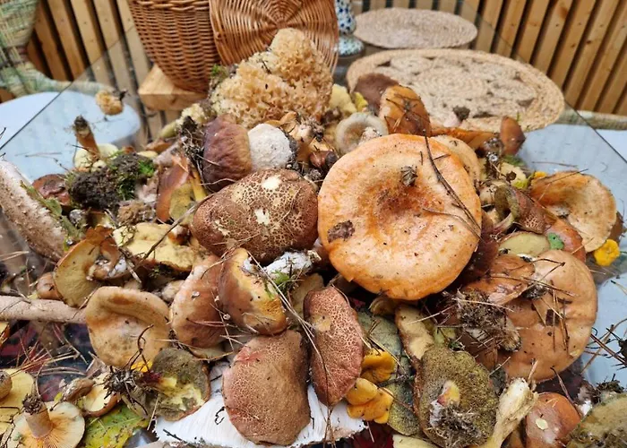 Pod Czarnym Dzieciolem - Dom Z Widokiem I Prywatna Balia Mazowki