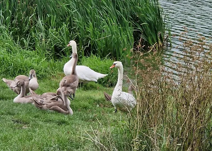 Pod Czarnym Dzieciolem - Dom Z Widokiem I Prywatna Balia * Mazowki